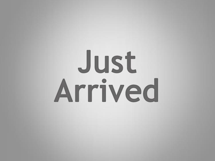 2014 BMW X1 4D WAGON sDRIVE 18d E84 MY14 UPGRADE